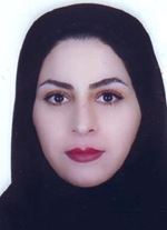 98010048
